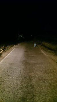 pora wieczorowo - nocna, droga nie oświetlona w głębi zdjęcia ledwo dostrzegalny pieszy bez odblasków