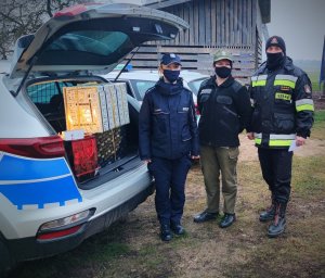 policjantka, funkcjonariuszka straży granicznej i strażak