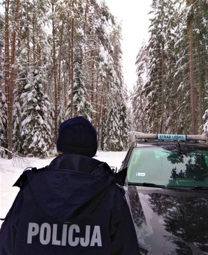 umundurowana policjantka patrząca w stronę lasu