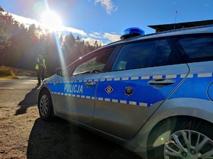 policjant stojący przed radiowozem