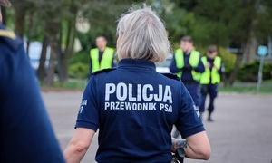 zaginione dziecko