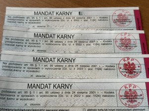 mandat za nieostrożne trzymanie zwierzęcia